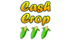 Cash Crop