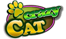 Crazy Cat